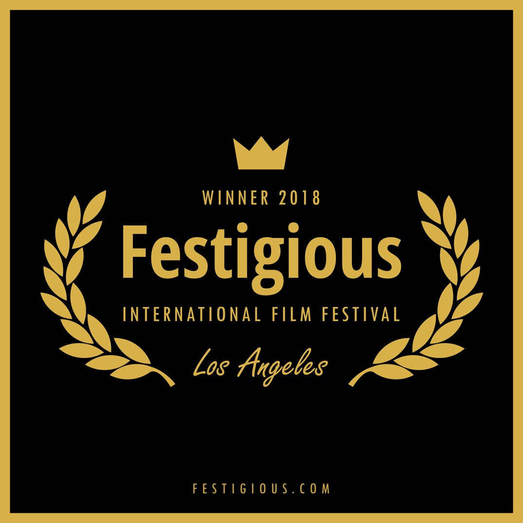 Festigious 2018 WN v2 LQ